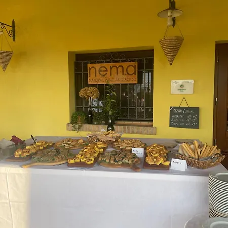 Nema Mossa